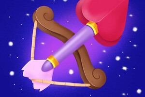 Шагойко Александра Сергеевна — Лук Купидона \