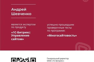 Диплом / сертификат №4 — Шевченко Андрей Владимирович