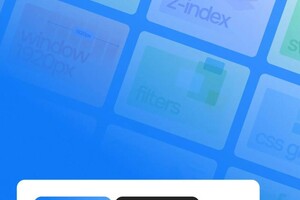 Шнапенко Виктория Николаевна — Диплом / сертификат №11