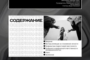 Силина Полина Дмитриевна — Портфолио №10