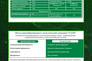 Силина Полина Дмитриевна — Портфолио №3