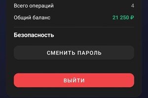 Скачко Илья Сергеевич — Портфолио №16