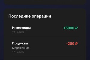 Скачко Илья Сергеевич — главная страница приложения — Портфолио №17