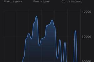 Ниша одежда.Работа за месяц с действующим селлером.Настроили внутреннюю рекламу,добавили внешнюю,что повлекло за собой... — Соловьева Дарья Сергеевна