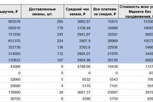 Соловьева Дарья Сергеевна — Задача В сентябре 2024 принять управление аккаунтом на Яндекс Маркете после предыдущего менеджера. Цель вывести... — Портфолио №8