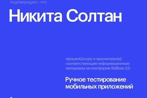 Солтан Никита Сергеевич — Диплом / сертификат №2