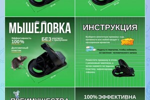 Тарасенко Алла Юрьевна — Портфолио №4