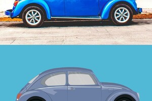 Труш Екатерина Геннадьевна — Рисунок в векторе с фотографии. Выполнен в Adobe Illustrator — Портфолио №6