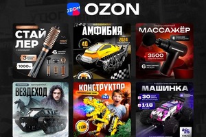 Инфографика Ozon — Возженникова Ангелина Андреевна