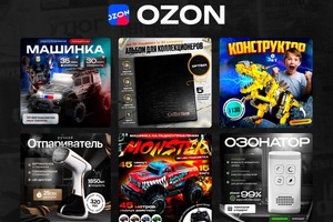 Инфографика Ozon — Возженникова Ангелина Андреевна