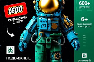 Возженникова Ангелина Андреевна — Инфографика — Портфолио №8