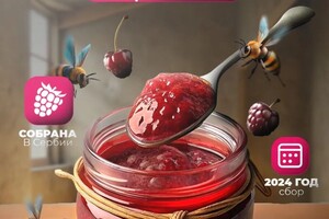 Залозный Артем Валерьевич — Портфолио №57