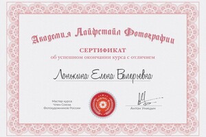 Диплом / сертификат №4 — Лонькина Елена Валерьевна