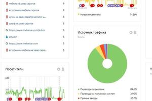 Яндекс Метрика — Черкасова Александра Сергеевна