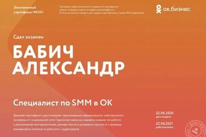 Диплом / сертификат №19 — Бабич Александр Васильевич