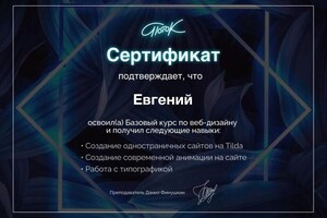 Диплом / сертификат №5 — Бронников Евгений Александрович