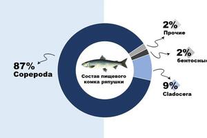 Портфолио №2 — Дарсия Нина Анатольевна