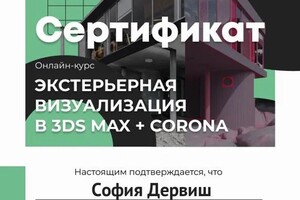 Диплом / сертификат №1 — Дервиш София Сергеевна