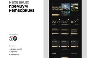 Сайт для премиум нетворкинга / Больше проектов на сайте dozoretsdesign.ru — Дозорец Александр Дмитриевич