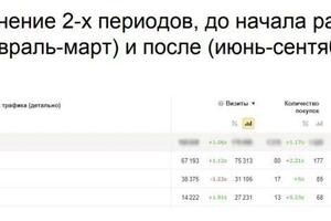 Статистика ведения контекстной рекламы монобрендового интернет-магазина женских сумок — Федюнин Дмитрий Александрович