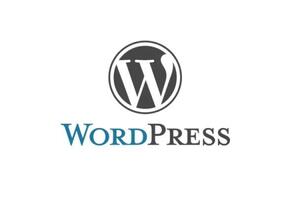 WordPress — Гирсанов Дмитрий Дмитриевич