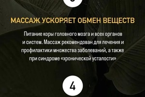 Портфолио №7 — Каменских Анна Константиновна