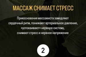 Портфолио №8 — Каменских Анна Константиновна