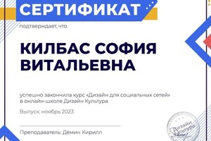 Диплом / сертификат №1 — Килбас София Витальевна