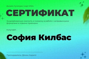 Диплом / сертификат №7 — Килбас София Витальевна