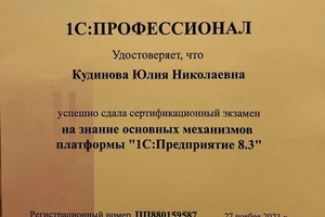 Диплом / сертификат №1 — Кудинова Юлия Николаевна