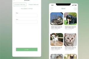 Макет экранов для приложения IShelt (помощь приютам и животным) — Мальцева Дарья Константиновна