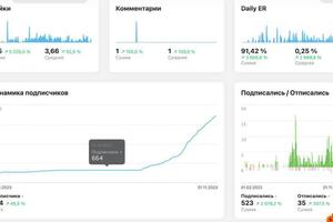 Рост количества подписчиков с платным продвижением — Мезгирёва Александра Андреевна