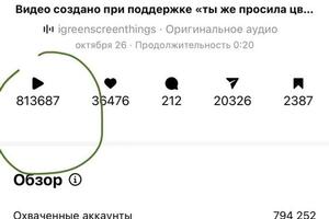 Создание трендовых рилс — Оморова Жамила Талантбековна