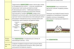 Пример конспекта — Протасова Светлана Игоревна