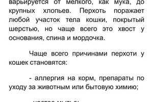 Статья о причинах появления перхоти у кошек.; Текст содержит гиперссылки, перечисления, разбивку на подпункты. — Пупонина Светлана Сергеевна