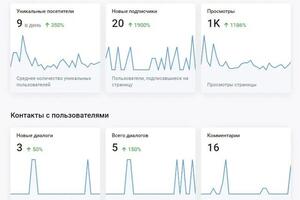 Статистика работы за первый месяц работы.; На таргетированную рекламу было потрачен 490 р. — Селезнева Ксения Андреевна