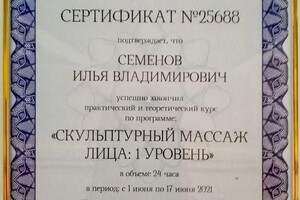 Диплом / сертификат №9 — Семенов Илья Владимирович