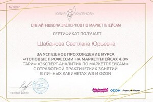 Диплом / сертификат №6 — Шабанова Светлана Юрьевна