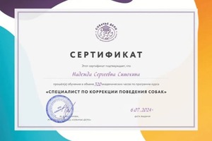 Диплом / сертификат №1 — Симохина Надежда Сергеевна