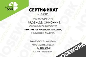 Диплом / сертификат №2 — Симохина Надежда Сергеевна