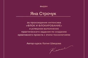 Диплом / сертификат №5 — Строчук Яна Александровна