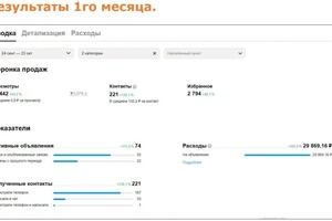 Статистика 1го месяца работы по \