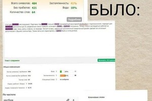 Диплом / сертификат №3 — Цибизова Екатерина Александровна