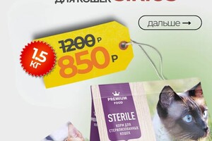 Портфолио №5 — Лощинина Вероника Александров