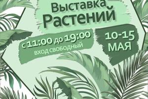 Портфолио №24 — Соколова Юлия Владимировна