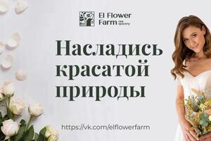 Баннеры ВК для цветочной фермы El Flower Farm — Тюрина Маргарита Станиславовна