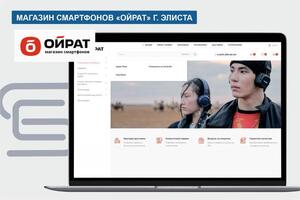 Интернет-магазин смартфонов — Вайвод Александр Викторович