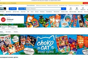 Баннеры на маркетплейсе Озон в кабинете продавца — Лаптева Александра Андреевна