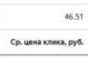 Результаты РК в ЯНдекс.Директ (ПОИСК) по ветеринарной клинике. — Ибрагимов Азамат Винерович