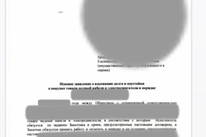 Подготовка искового заявления различного характера — Зинатуллина Айсылу Венеровна